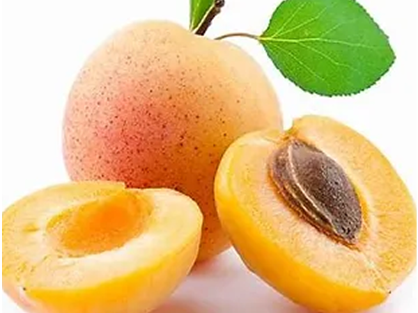 SPECIAL-MIX-DRY-APRICOT-POWDER