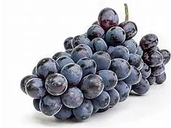 SPECIAL-MIX-DRY-BLACK-RAISIN-POWDER