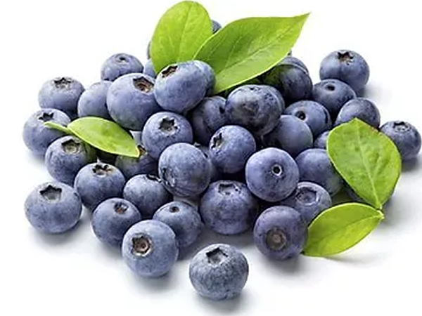 SPECIAL-MIX-DRY-BLUEBERRY-POWDER