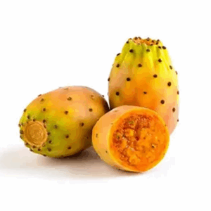 خليط خاص من مسحوق الصبار الجاف