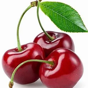 خليط خاص من مسحوق الكرز الجاف