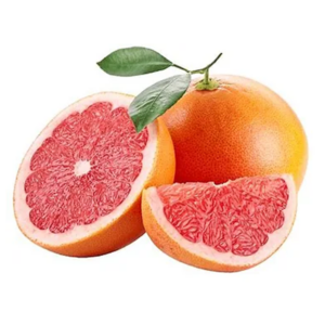 SPECIAL MIX DRY GRAPEFRUIT POWDER