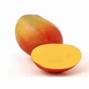 خليط خاص من مسحوق المانجو الجاف