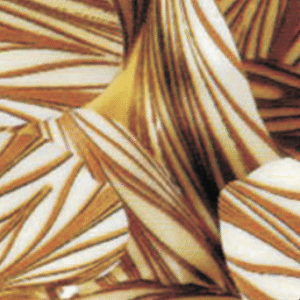 أوراق ترانسفير شيت شوكولاتة C-107